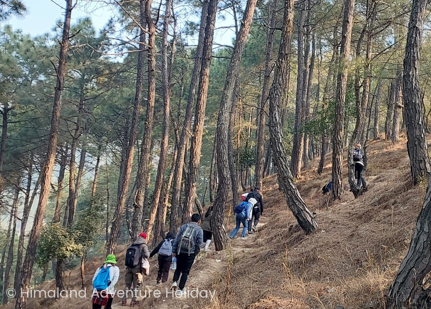 Hiking, Hattivan